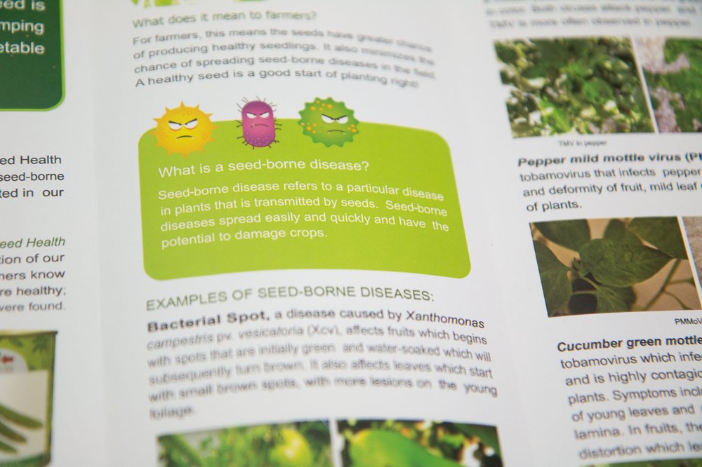 Brochure about seed-borne diseases with pictures and text.