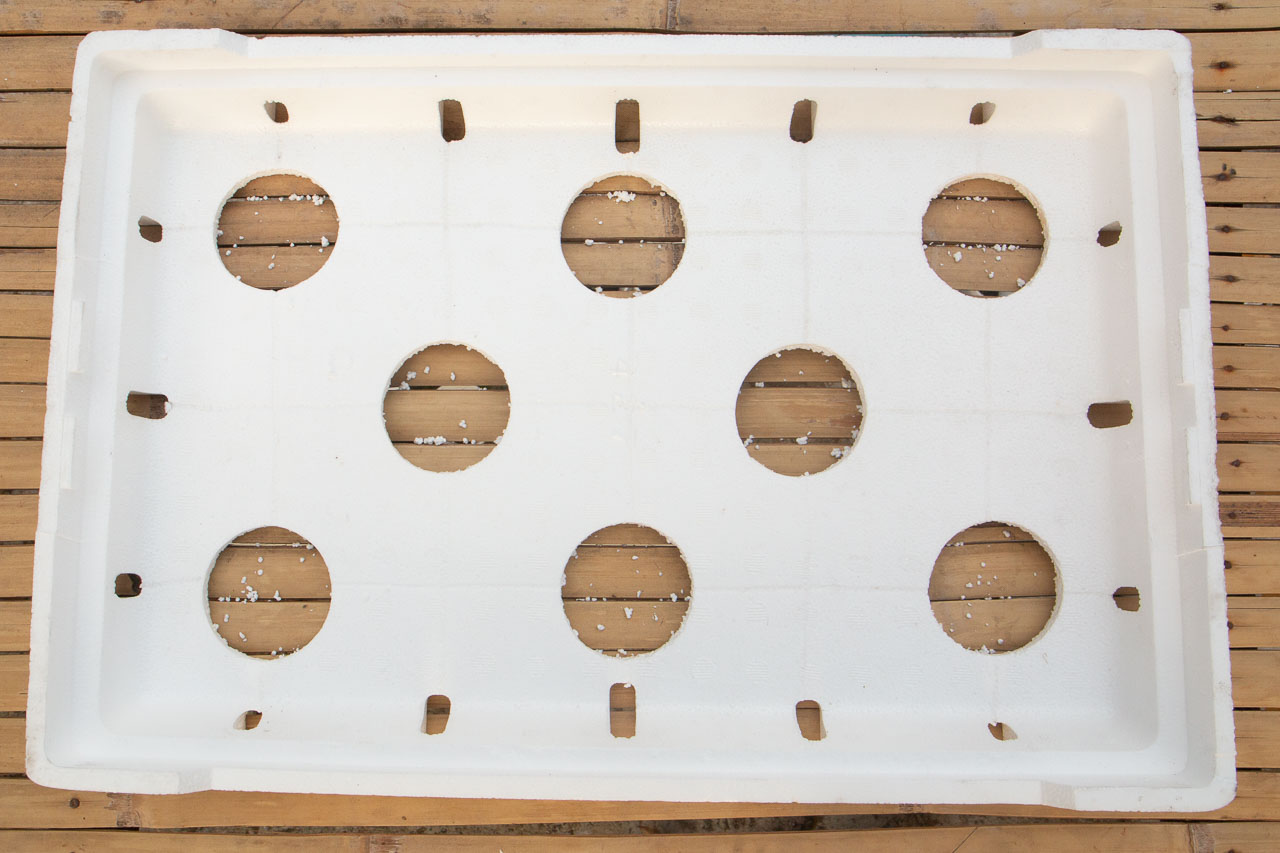 Upper half of the grow box showing how the punched holes are positioned
with respect to the guide lines.